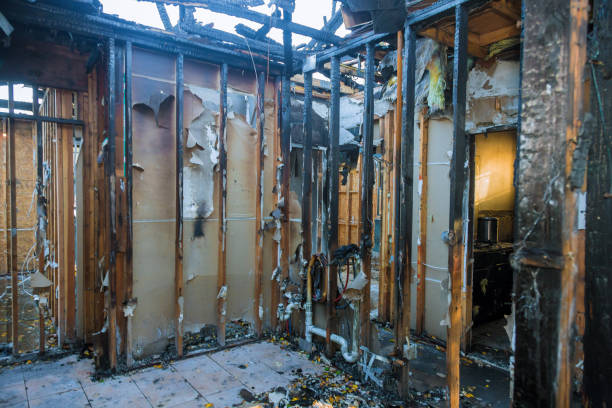 Professional Smoke Damage Removal technician working in Swarthmore, PA